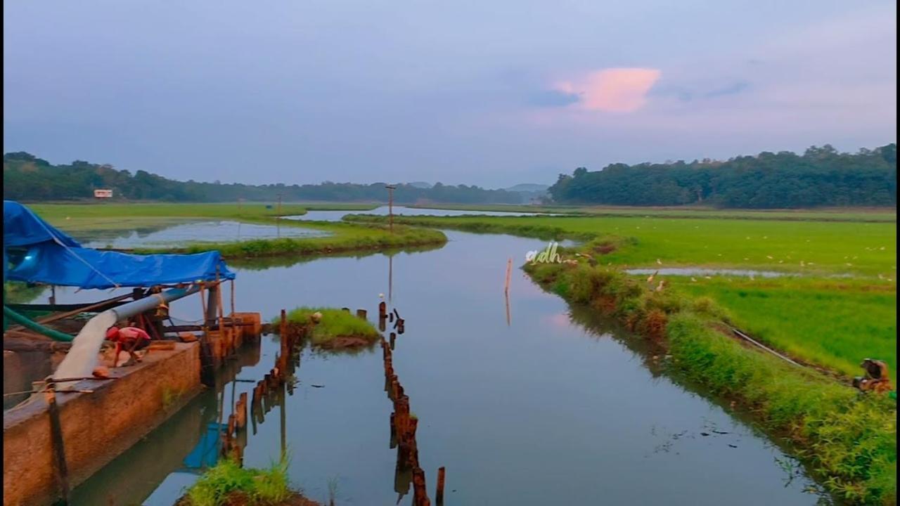 Gilead Holliday Hotel Tamarakulam Exterior photo